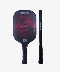 vợt pickleball LION GAMICY vienden